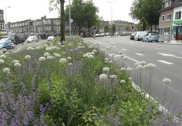 groenstrook utrecht