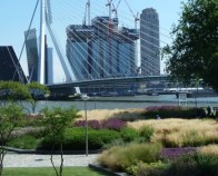 Leuvehoofd-Maasoever