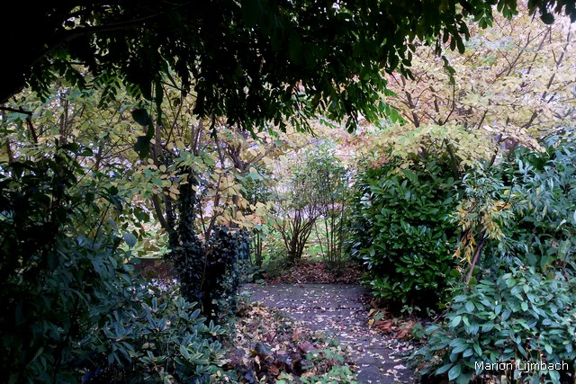 2015-10-28 14.37.52_tn