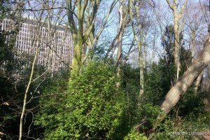 2016-03-17 13.41.42_tn2