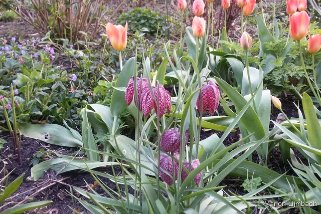 2016-04-10 19.53.02_tn